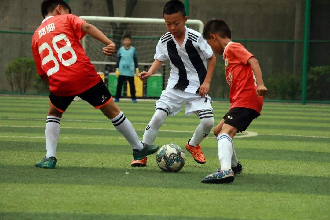 非凡体育APP下载app下载