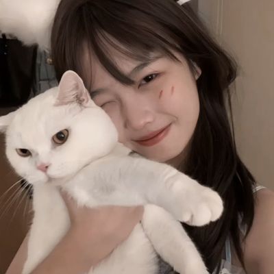 皇冠体育安卓系统