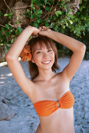 经典牛牛下载手机版