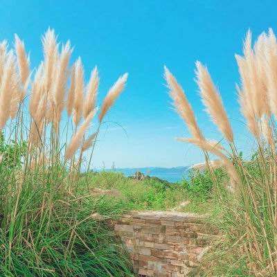 球探比分旧版大全手机app下载