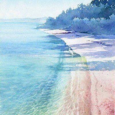 im电竞手机app下载