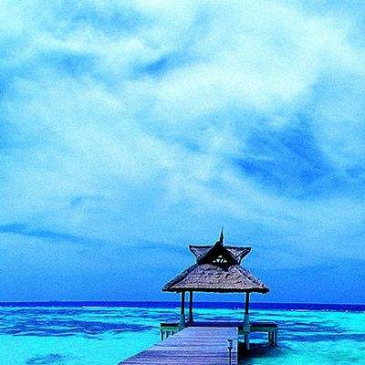 8868体育官方版最新版