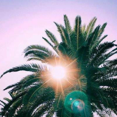 半岛官方APP入口下载手机版