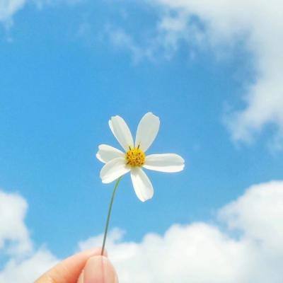 双赢彩票官方网站下载手机版