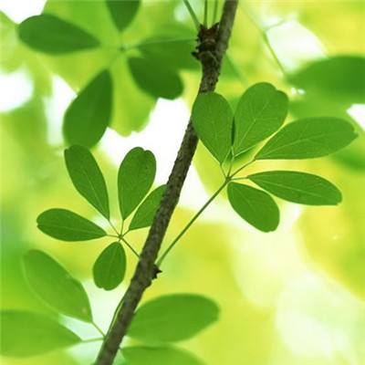 电子娱乐平台游戏大全