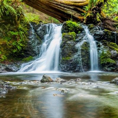 leyu·乐鱼中国官方网站