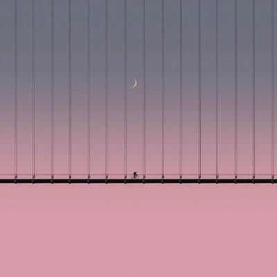 半岛·综合下载手机版