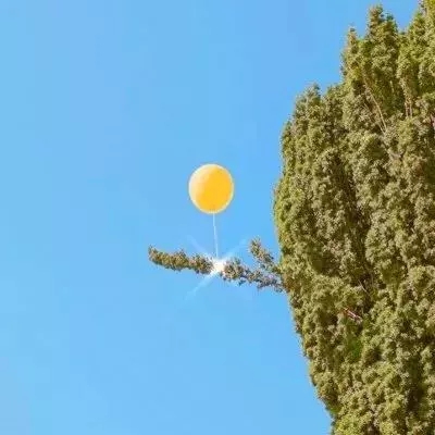 江南体育网页版