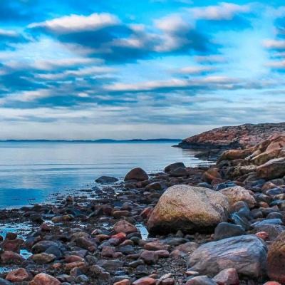 6566体育下载手机版