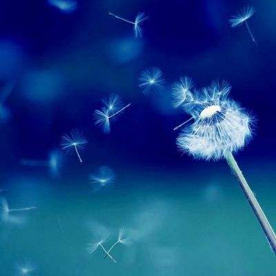 爱游戏全站APP下载app下载