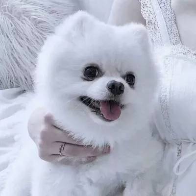 欧意app官网下载