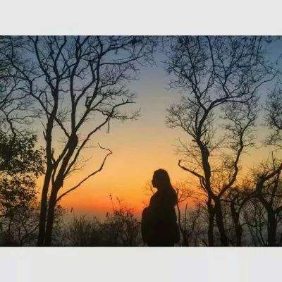 香港最准资料免费公开下载手机版