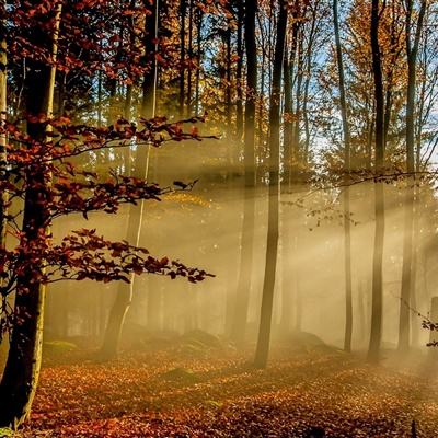 香港今晚六给彩开奖结果下载手机版截图