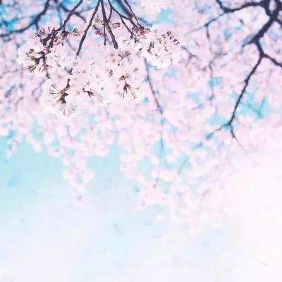 北京k10赛车下载APP