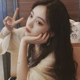 香港2023正版免费资料