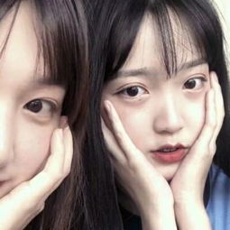 半岛官方APP入口下载手机版