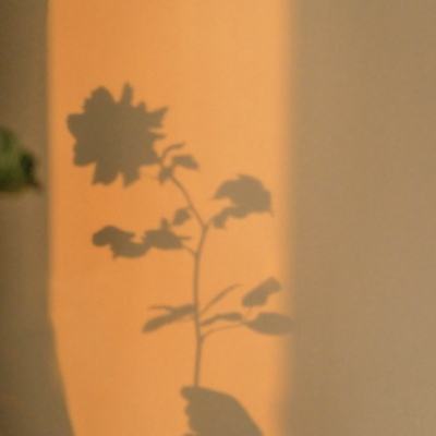 kok中欧登录入口下载手机版