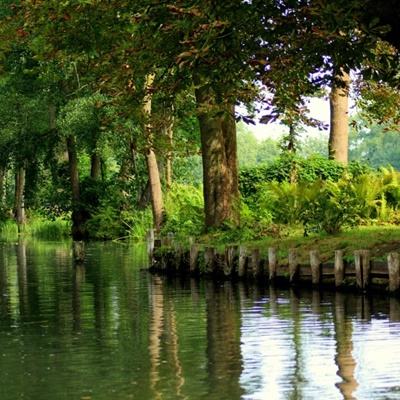 安博体育app官方下载入口