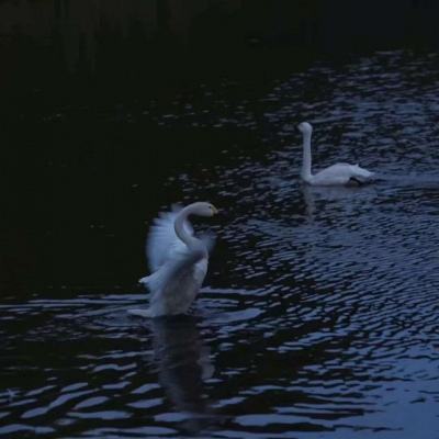 爱游戏全站手机app下载