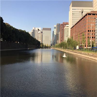 半岛·手机网页版