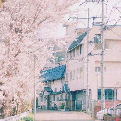 亚博足球外围软件