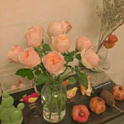 亚博棋牌app下载