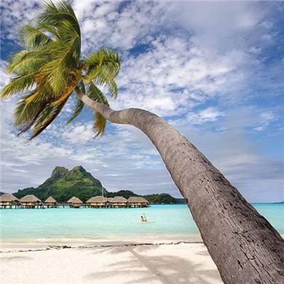 火狐体育APPapp下载