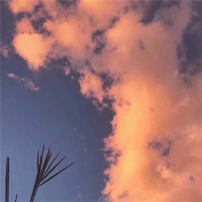 365平台官方版下载app下载