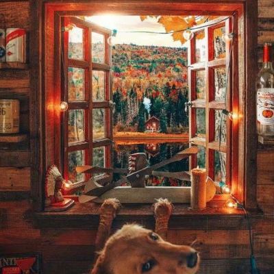 乐鱼app(中国体育)官方网站