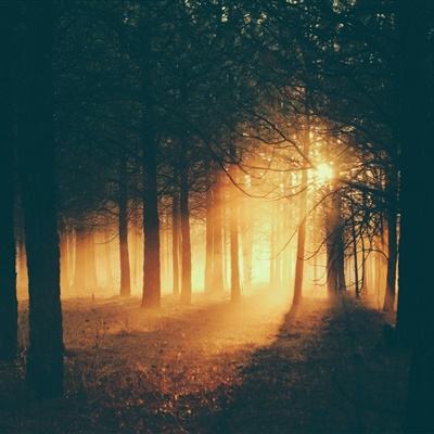 百姓彩票网app下载