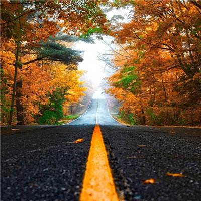 BOB半岛官网入口