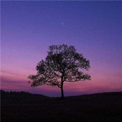 澳门2023全年免费资料大全手机app下载