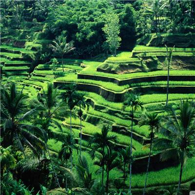 竞彩足球app官网下载