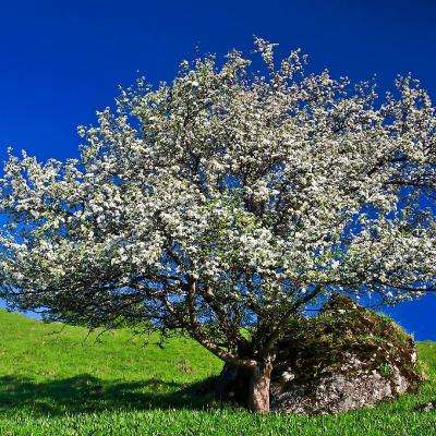 乐鱼游戏app在线登录