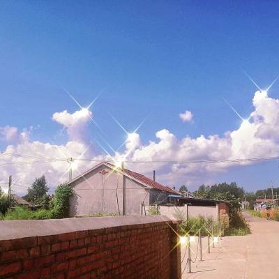 6566体育下载手机版