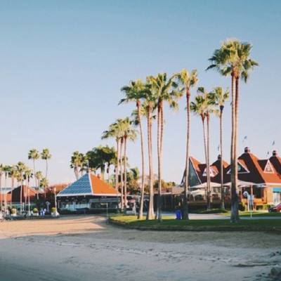 金年汇app官方网