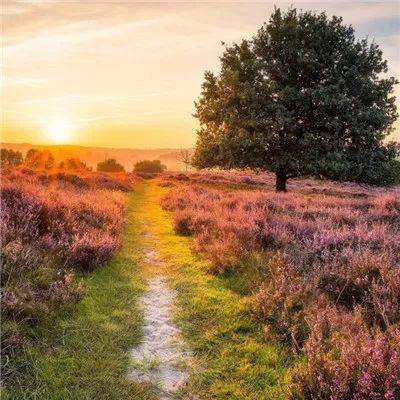 KU体育官方app下载