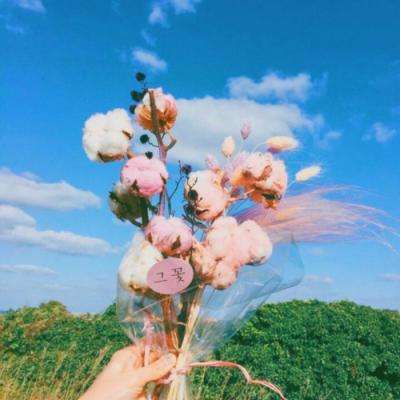 亚虎娱乐app下载手机app下载