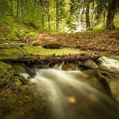 im电竞·(中国)官方网站截图