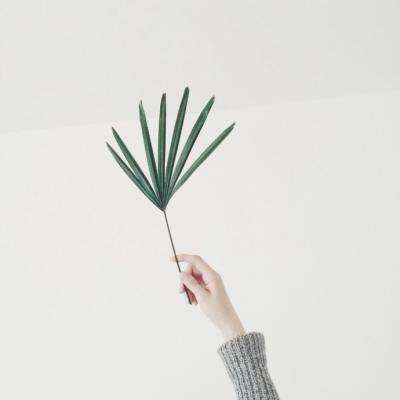 香港今晚六给彩开奖结果下载手机版