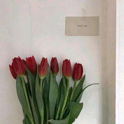 足球滚球的正规平台app下载手机版