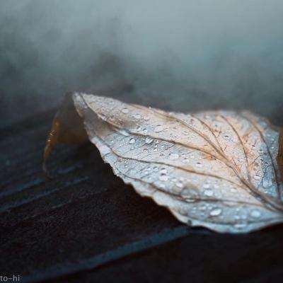 乐宝体育官网登录入口app下载