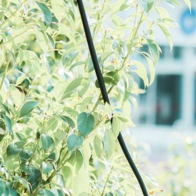 香港2023正版免费资料app下载