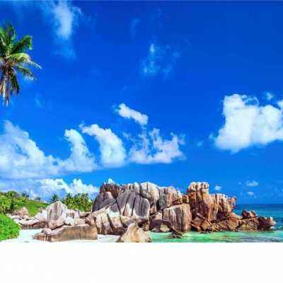 澳门太阳游戏城app下载手机版