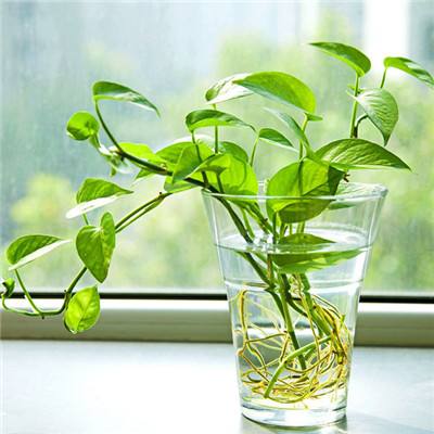 云开平台登录app