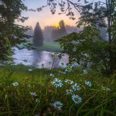 天天中彩票app下载