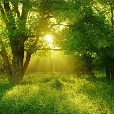 三亿体育下载手机版