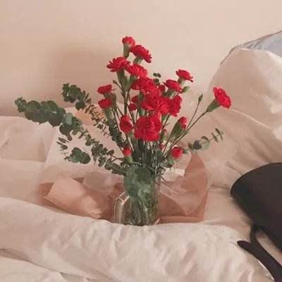 老皇冠登录入口welcome