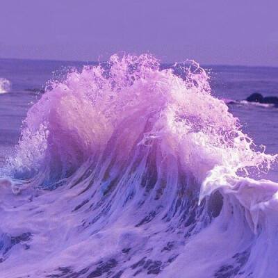 m6米乐官方网站登录入口APP下载