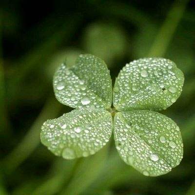 米乐app官方下载